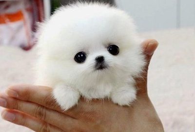 Screenshot 2025 10 17 121145