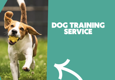 Screenshot 2025 10 17 at 10.33.57 AM